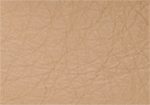 Swatch for Color Taupe
