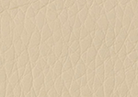 Swatch for Color Bone