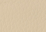 Swatch for Color Bone