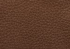 Swatch for Color Cocoa