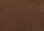 Swatch for Color Cocoa