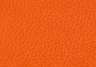 Swatch for Color Orange