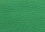 Swatch for Color Perfect Lawn