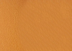Swatch for Color Butterscotch