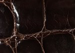 Swatch for Color Chocolate Glazed
