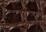 Swatch for Color Chocolate Matte