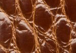 Swatch for Color Cognac Glazed