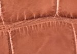 Swatch for Color Cognac Matte