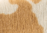 Swatch for Color Beige Cow