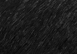 Swatch for Color Black