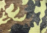 Swatch for Color Camo