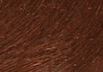 Swatch for Color Cognac
