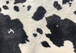 Swatch for Color Cow