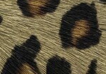 Swatch for Color Olive Leopard