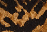 Swatch for Color Tribal Tan