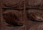 Swatch for Color Chocolate