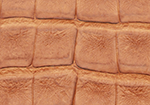Swatch for Color Cognac
