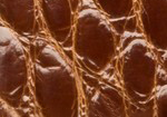 Swatch for Color Cognac