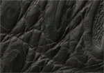 Swatch for Color Black