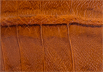 Swatch for Color Brandy
