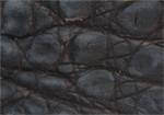 Swatch for Color Black