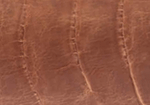 Swatch for Color Brandy