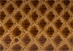 Swatch for Color Cognac