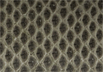 Swatch for Color Grey