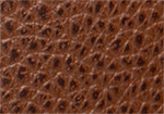 Swatch for Color Cognac
