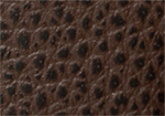 Swatch for Color Dark Brown