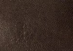 Swatch for Color Brown