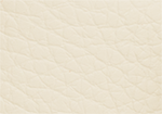 Swatch for Color Bone