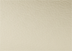 Swatch for Color Bone