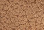 Swatch for Color Tan