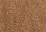 Swatch for Color Natural