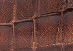 Swatch for Color Cognac