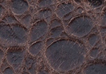Swatch for Color Brown