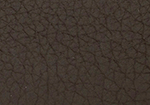 Swatch for Color Chocolate