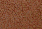 Swatch for Color Cognac
