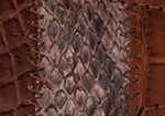 Swatch for Color Cognac