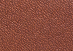 Swatch for Color Cognac