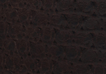 Swatch for Color Brown