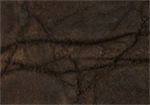 Swatch for Color Chocolate