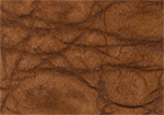 Swatch for Color Cognac
