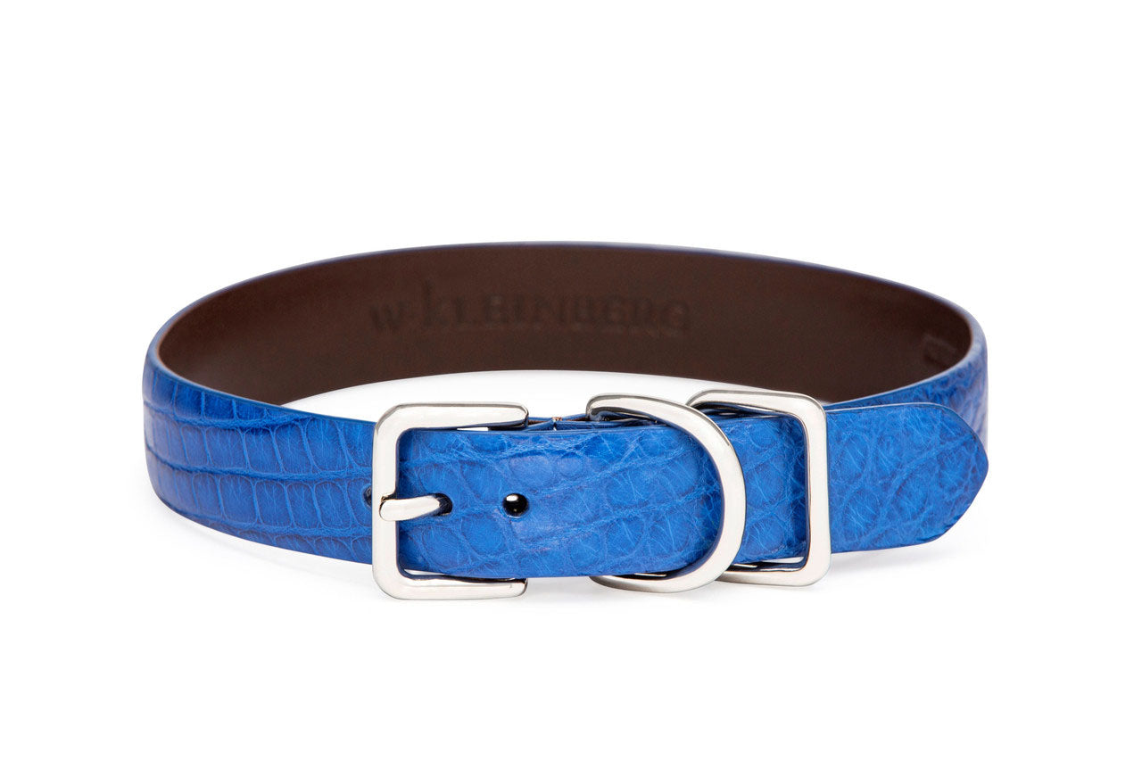 The Teddy Dog Collar in Matte Alligator